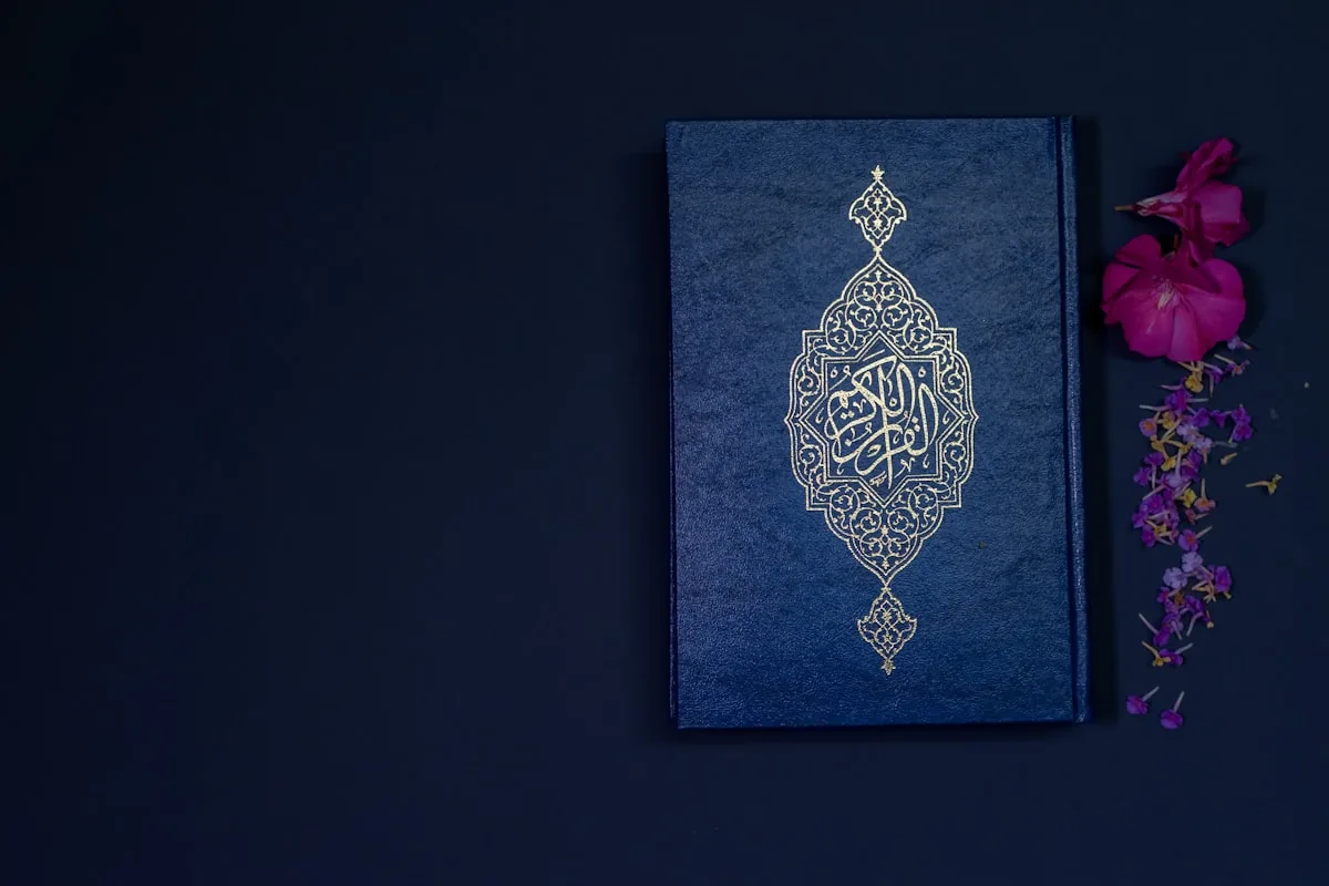 فامیلی مۆڵ، دهۆک