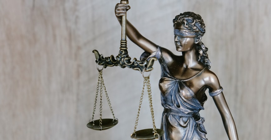 پاڵپشتیا یاسایی و بازرگانی